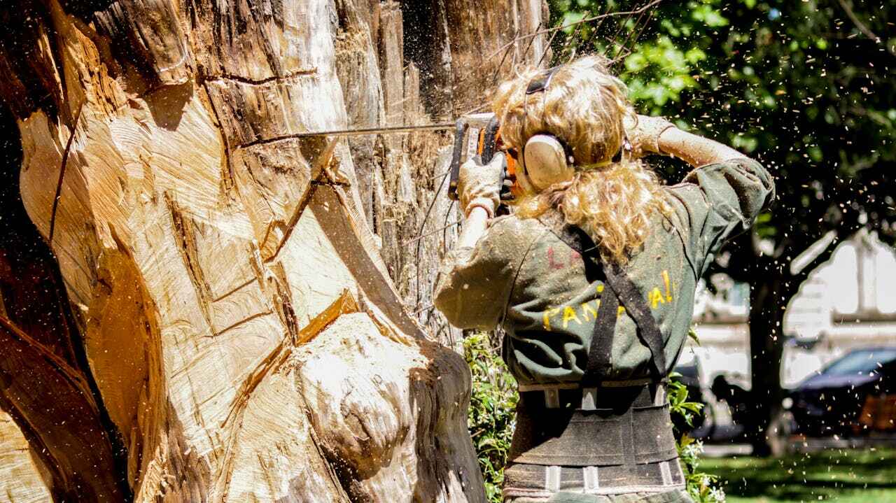 Best Tree Trimming Near Me  in Splendora, TX